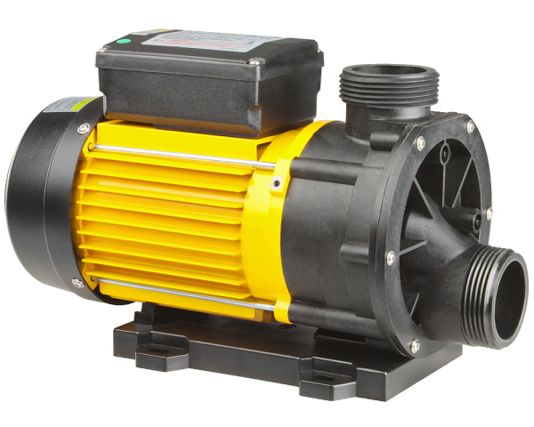 LX Whirlpool TDA100 circulation pump - Click to enlarge