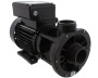 Waterway E-series 2-speed pump - Click to enlarge