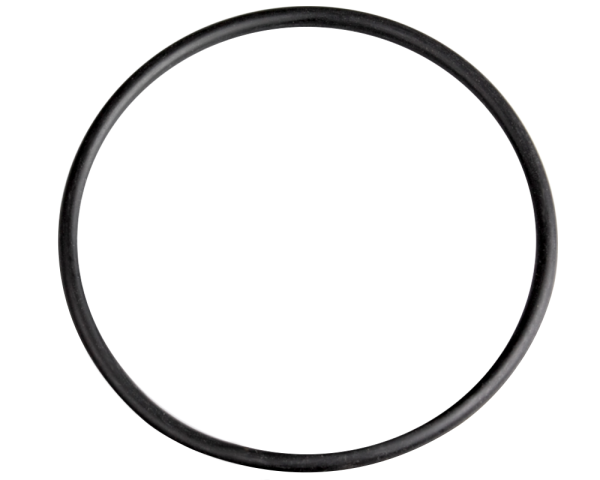 40 mm o-ring for Pentair Barrel jet - Click to enlarge
