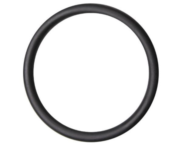 O-ring for 2-inch pump unions - Click to enlarge