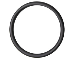 O-ring for 2-inch pump unions