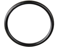 59/69 mm o-ring for Davey SpaPower 2" pump union
