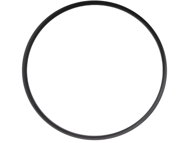 Filter lid o-ring - Click to enlarge