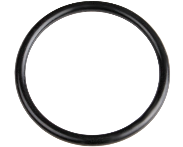 Waterway 31 mm o-ring for 1" pump unions - Click to enlarge