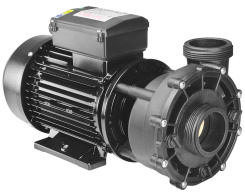 LX Whirlpool WP200-II 2-speed pump