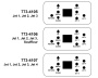 Waterway NEO 2100 keypad - Click to enlarge