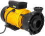 Davey SpaPower Maxiflow single-speed pump - Click to enlarge