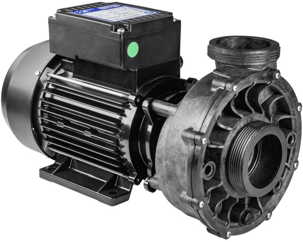 Waterway Viper 2-speed pump - Click to enlarge