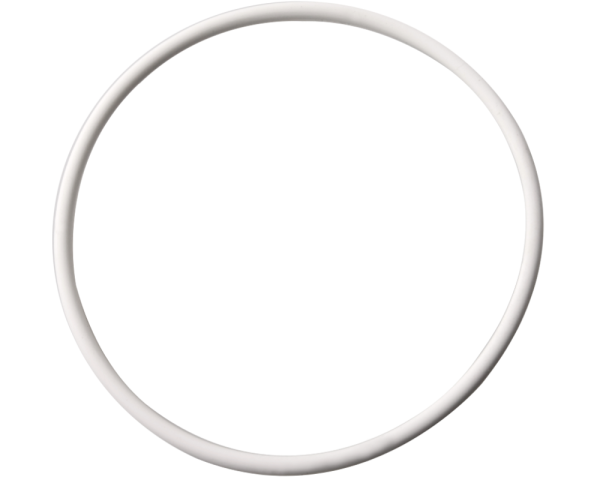 63 mm o-ring for Sundance valve - Click to enlarge