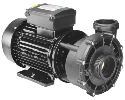 LX Whirlpool WP250-II 2-speed pump