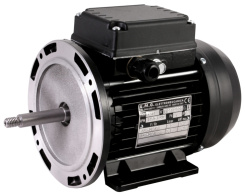 EMG 63/4 single-speed motor, reconditioned