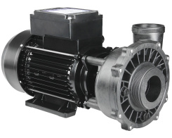 Waterway Executive 2-speed pump