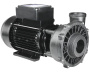 Waterway Executive 2-speed pump - Click to enlarge