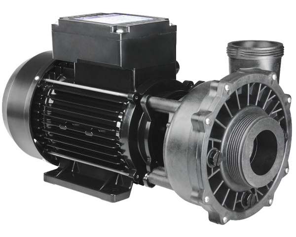 Waterway Executive single-speed pump - Click to enlarge