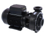 Waterway Hi-Flo single-speed pump - Click to enlarge