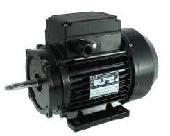 EMG 80/2 single-speed motor