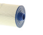 Filtre PFF50P4 / Freeflow Spas - Cliquez pour agrandir