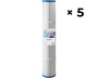 Carton de 5 filtres Claralys CCST120 / Coast Spas - Cliquez pour agrandir