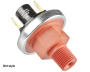 Gecko DTEC-1 pressure switch - Click to enlarge