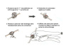 Conector rpido Rising Dragon Pinnacle - Haga clic para ampliar