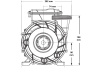Gecko Maelstrom MS-1 3 HP two-speed pump - Click to enlarge