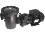 Prefiltro para bomba Waterway - Haga clic para ampliar